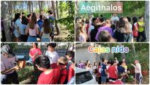 Actividades con Aeghitalos